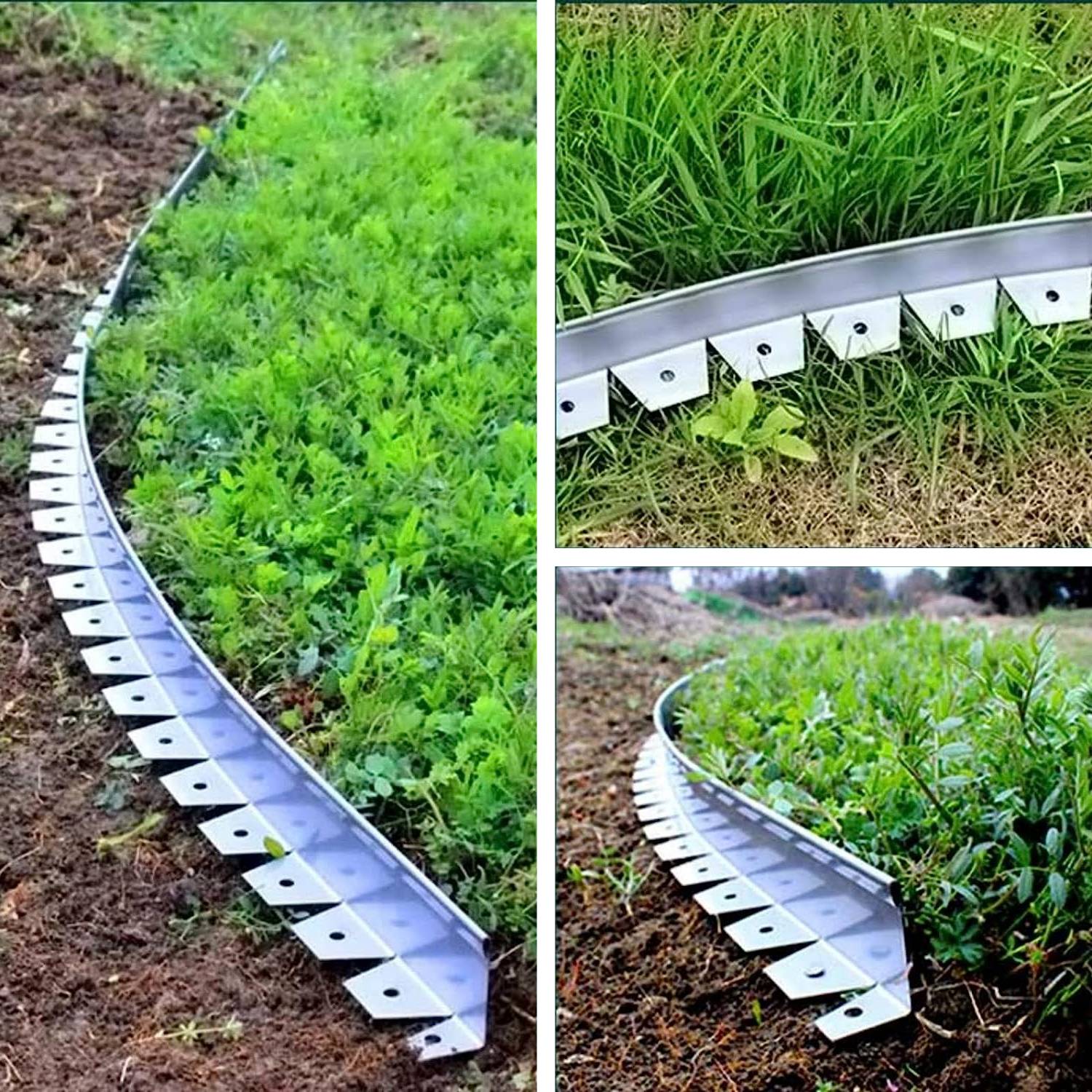 buy stainless steel garden border edge