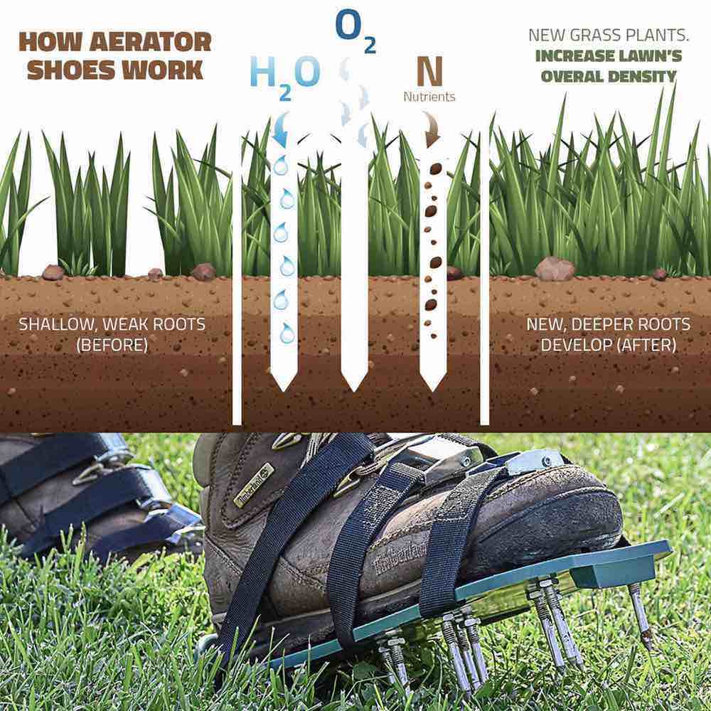 Lawn Aerator Shoes: image 8