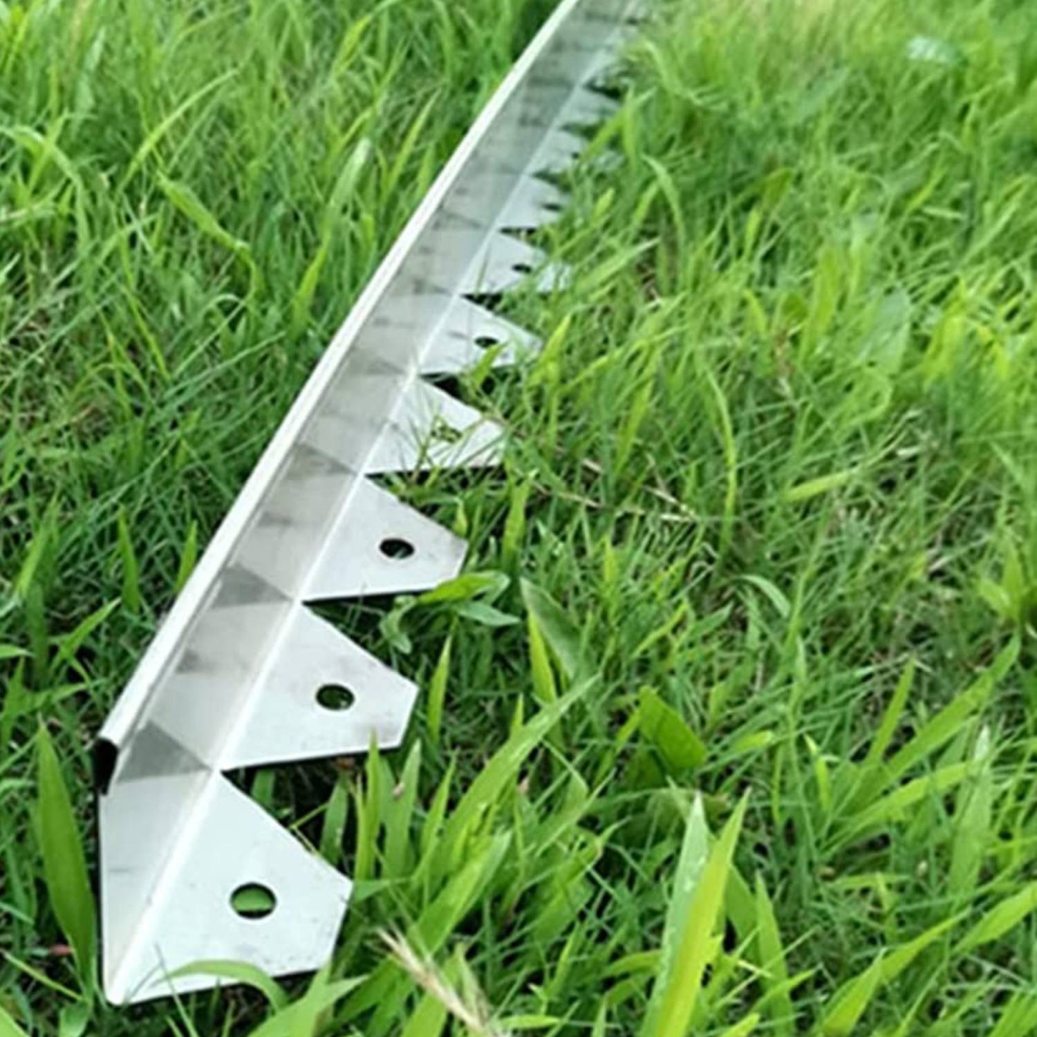 Stainless Garden Edging 50 mm (per metre)